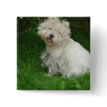 Bichon Frise Dog Square Button