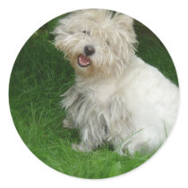 Bichon Frise Dog Sticker