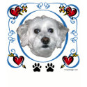 Bichon Frise Dog t-shirts