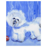 Bichon Frise flyers
