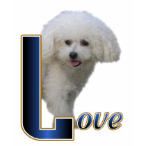 Bichon Frise Gifts t-shirts