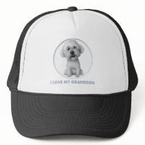 Bichon Frise Granddog hats