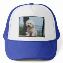 Bichon Frise Mesh Hat