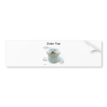 Bichon Frise History Design Bumper Stickers