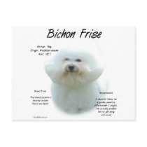 Bichon Frise History Design Postcard