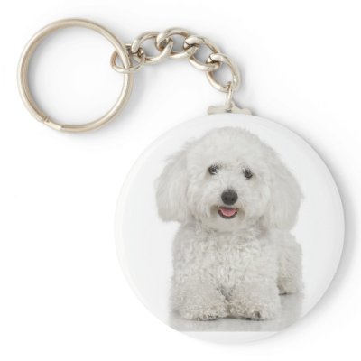 Bichon Frise Keychain by jasminesphotography
