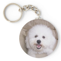 Bichon Frise Key Chains