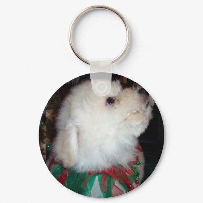 Bichon Frise Keychain by creativecutey