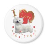 Bichon Frise Love