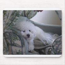BICHON FRISE mousepads