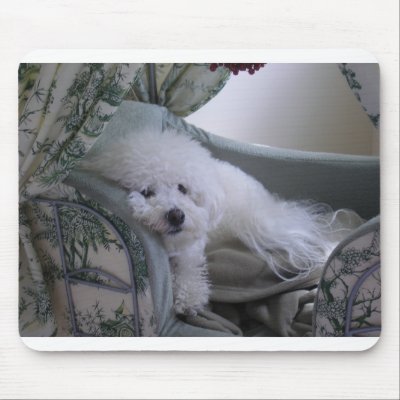 BICHON FRISE MOUSE PAD by STACEYIANNELLI