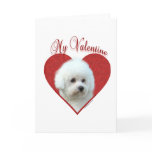Bichon Frise My Valentine Greeting Card