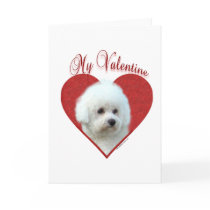 Bichon Frise My Valentine Greeting Card