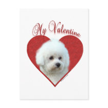 Bichon Frise My Valentine Post Cards