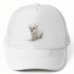 Bichon Frise Photo Baseball Hat