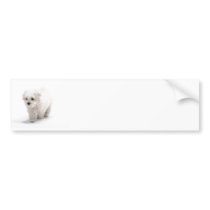 Bichon Frise Photo Bumper Sticker