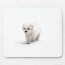 Bichon Frise Photo Mouse Pad