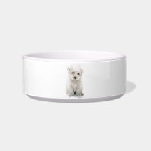 Bichon Frise Photo Pet Bowl Cat Food Bowls