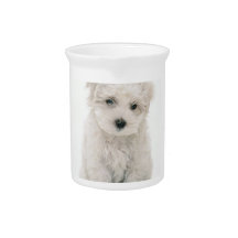 Bichon Frise Photo Pitcher