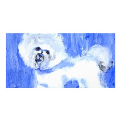 Bichon Frise Photo Greeting Card by zadajeanne