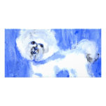 Bichon Frise Photo Greeting Card
