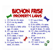 BICHON FRISE PL2 posters