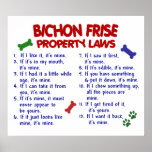 BICHON FRISE PL2 POSTERS