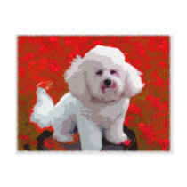 Bichon Frise Pop Art Postcards