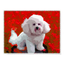 Bichon Frise Pop Art Prints