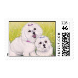 Bichon Frise Postage