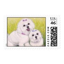 Bichon Frise Postage