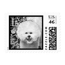 Bichon Frise Postage Stamp