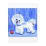 Bichon Frise Post Card