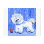 Bichon Frise Postcards