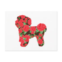 Bichon Frise Post Card