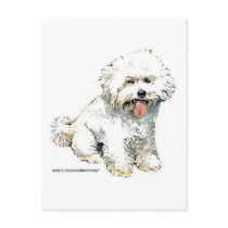 Bichon Frise Post Cards