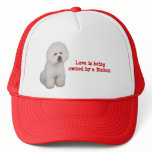 Bichon Frise Precious Hat