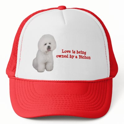 Bichon Frise Precious Hat by normagolden