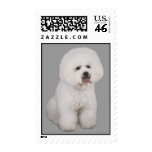 Bichon Frise Precious Postage Stamp