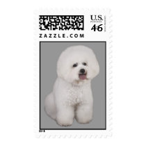 Bichon Frise Precious Postage Stamp