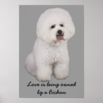 Bichon Frise Precious Print