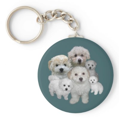 Bichon Frise Puppies Keychain by normagolden