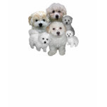 Bichon Frise Puppies Ladies T-Shirt