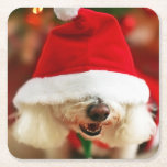 Bichon Frise puppy wearing Santa costume Square Paper Coaster