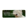 Bichon Frise Return Address Label