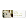 Bichon Frise Return Address Label