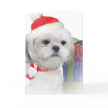 Bichon Frise Santa Cards
