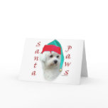 Bichon Frise Santa Paws Greeting Cards