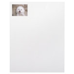 Bichon Frise Smiling Letterhead