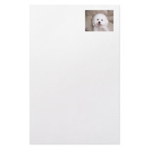 Bichon Frise Smiling Stationery